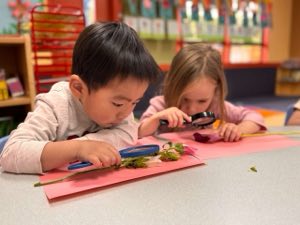 Junior Pre-K children examining natural materials during a classroom science activity