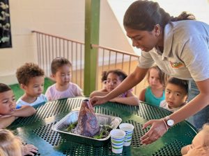 Preschool