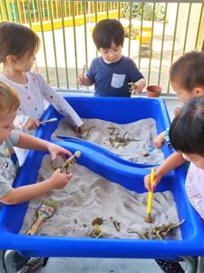 Summer outdoor play